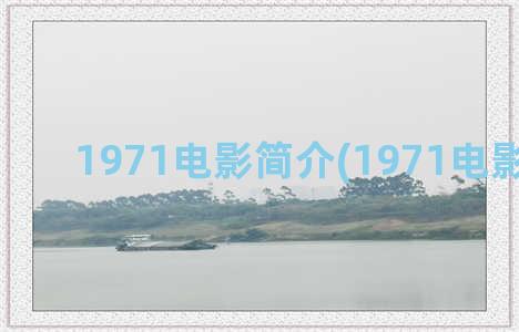 1971电影简介(1971电影演员表)