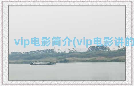 vip电影简介(vip电影讲的是什么)